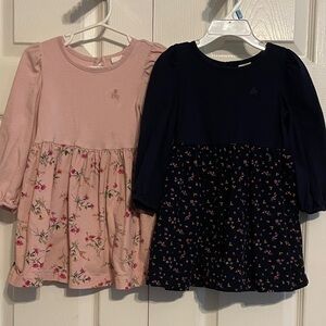 GAP Floral Pink and Navy Kids Long Sleeve Dress Duo 3T